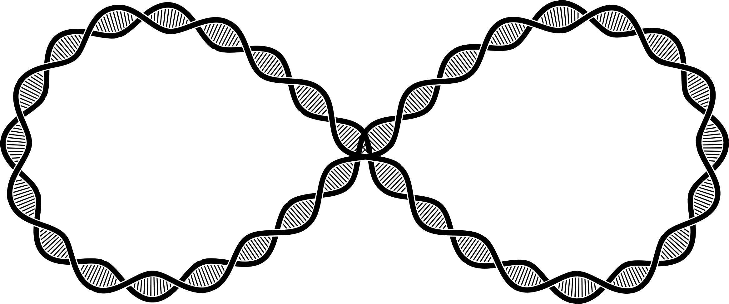 Big Image (2334x974), Png Download