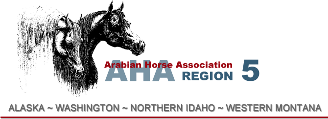 Logo - Arabian Horse Association (669x250), Png Download