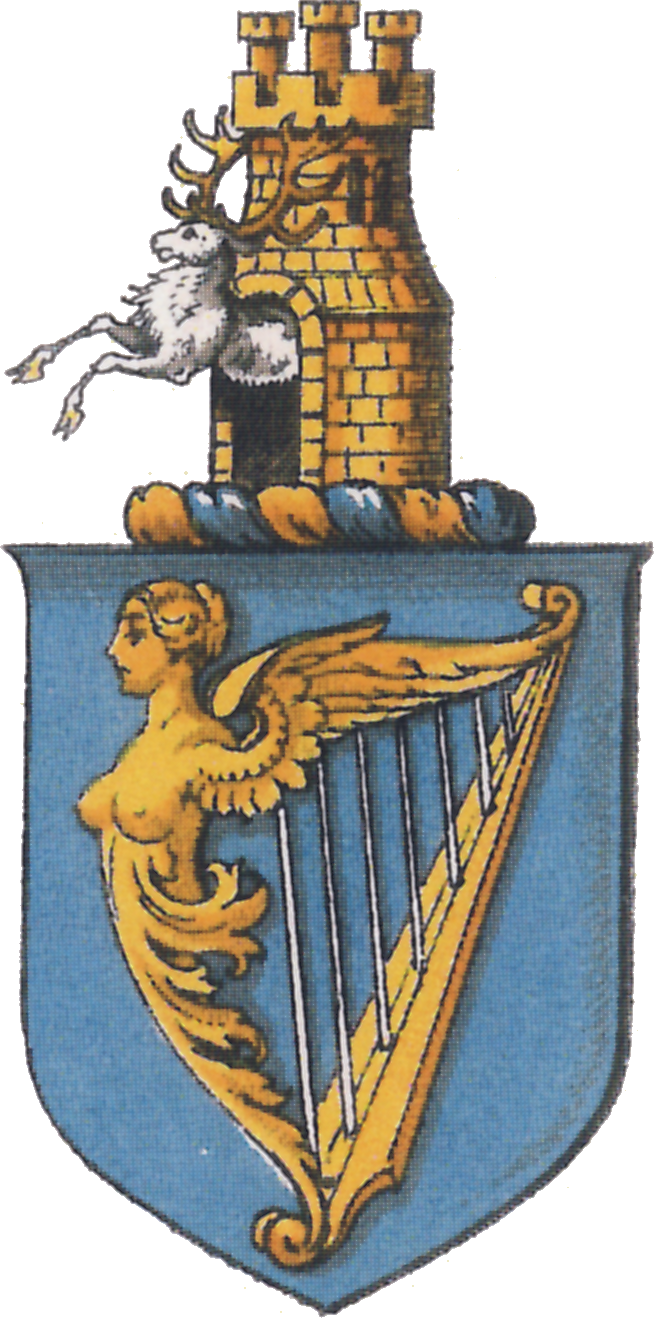 04 - Brasão Da Republica Da Irlanda (654x1318), Png Download