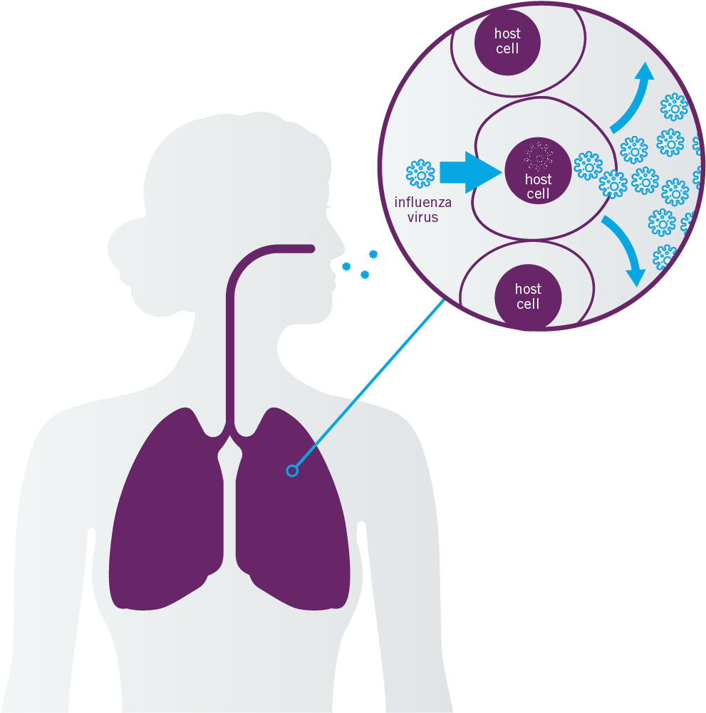 3 (1001x1019), Png Download