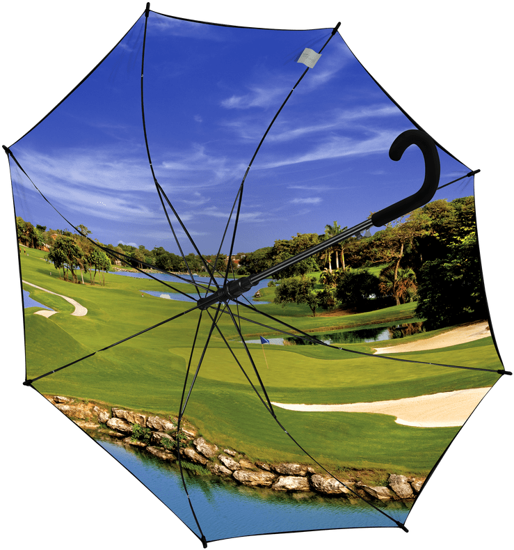 Umbrella (766x800), Png Download