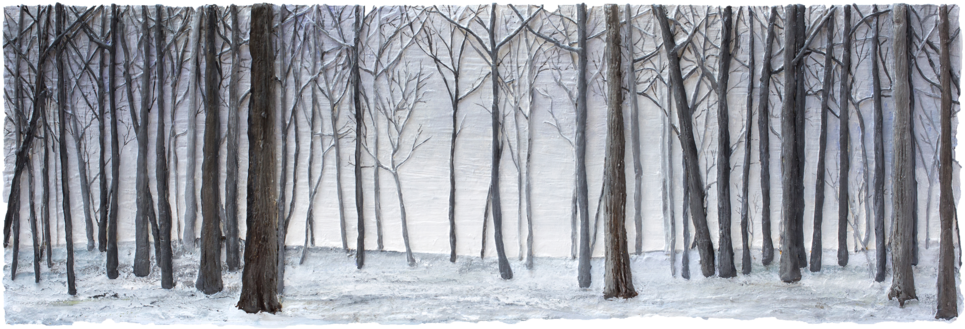 Winter Mist (1000x367), Png Download