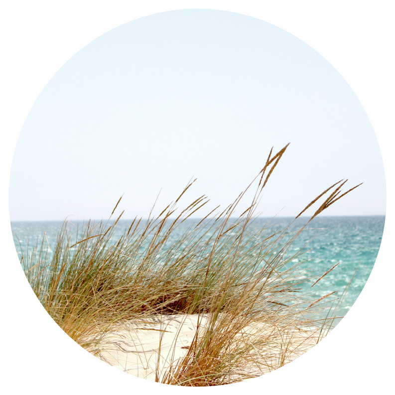 Our History - Beach (800x800), Png Download