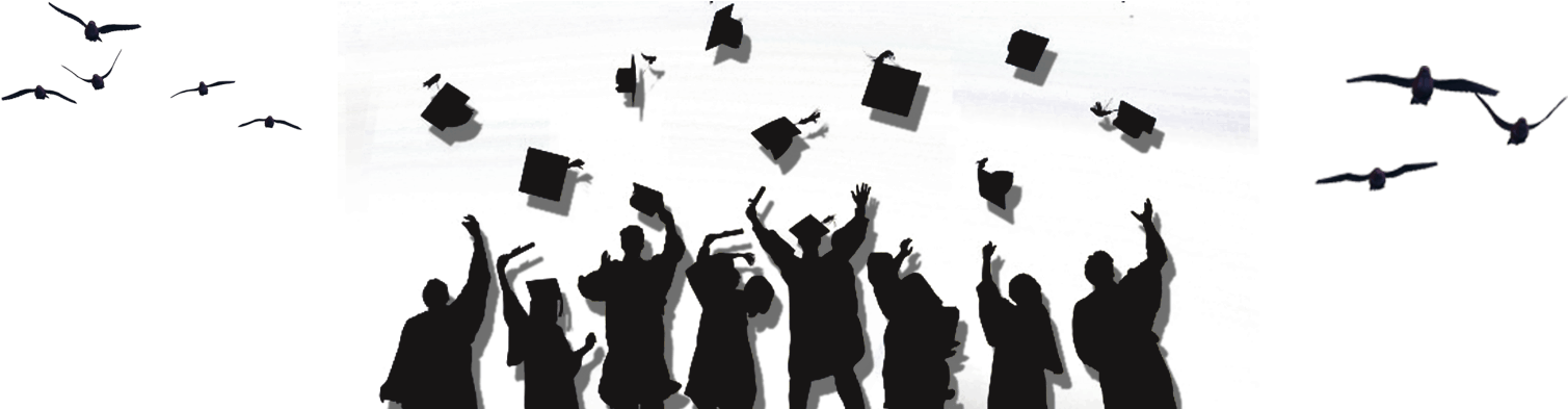 Ics International School Christmas Party For K & P - Shadow Of Graduation People Png (1600x392), Png Download