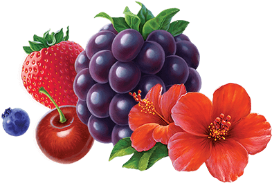 Celestial Wild Berry Zinger Herbal Tea (500x500), Png Download