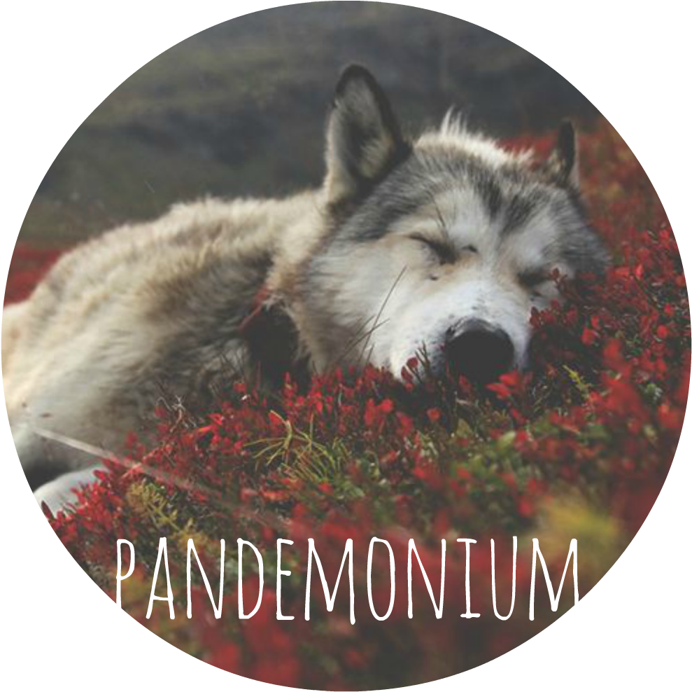Pandemonium Banner - Quiet Dog Round Wall Clock Cool Home Arabic Numbers (1000x1234), Png Download