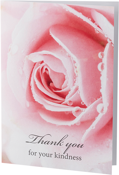 Thank You - Garden Roses (800x800), Png Download