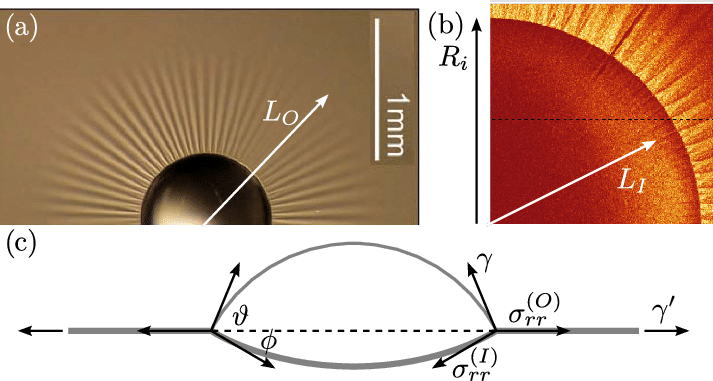 , (b) Views Of The Wrinkle Pattern Formed By Placing - Water (713x381), Png Download
