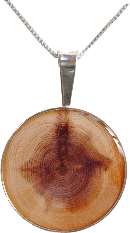 Juniper Tree Pendant - Carat (530x829), Png Download