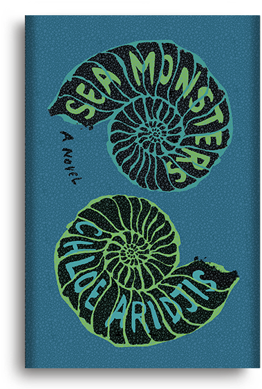 A Novel By Chloe Aridjis - Chloe Aridjis (414x572), Png Download