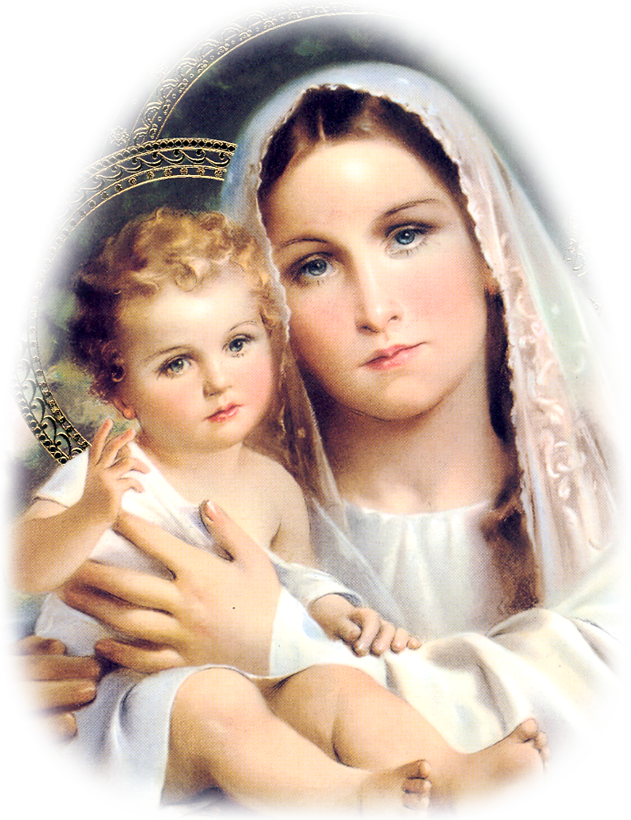 Readings & Reflections With Cardinal Tagle's Video - Christian Saints Of India (631x820), Png Download