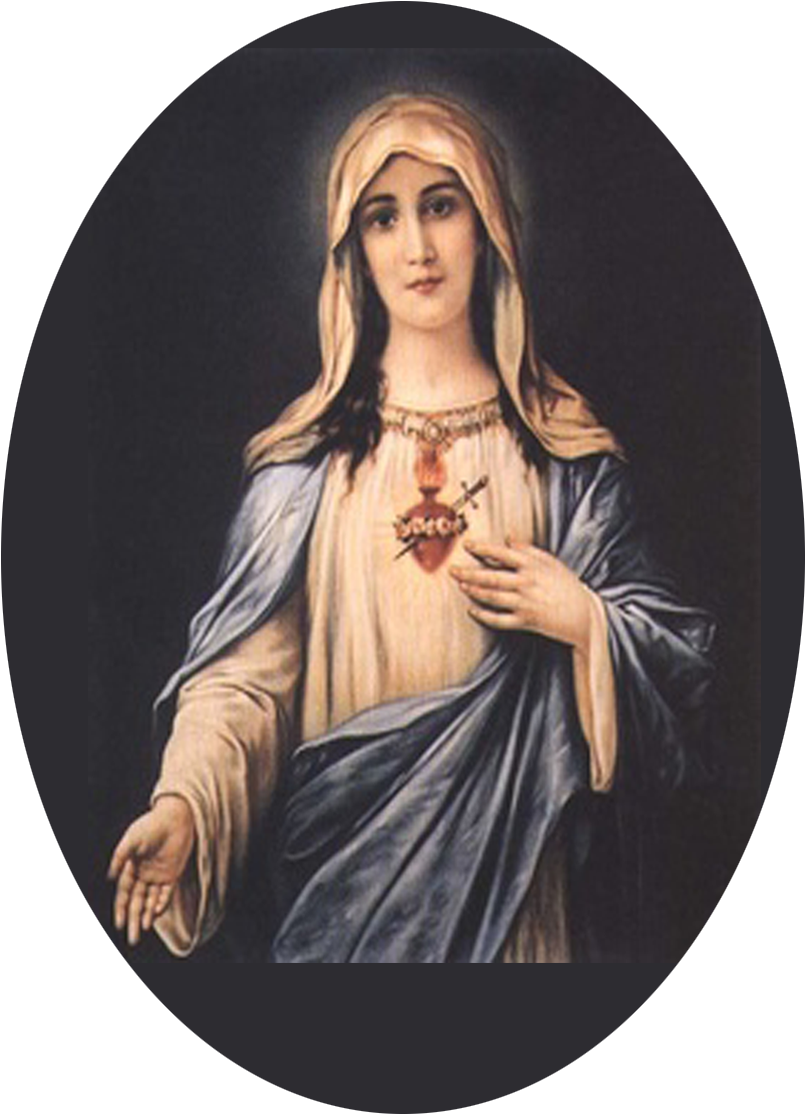 Novena To The Immaculate Heart Of Mary - Mary's Knights Of Columbus (900x1200), Png Download