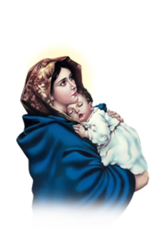 Mary - St Mary Wallpaper Hd (506x768), Png Download