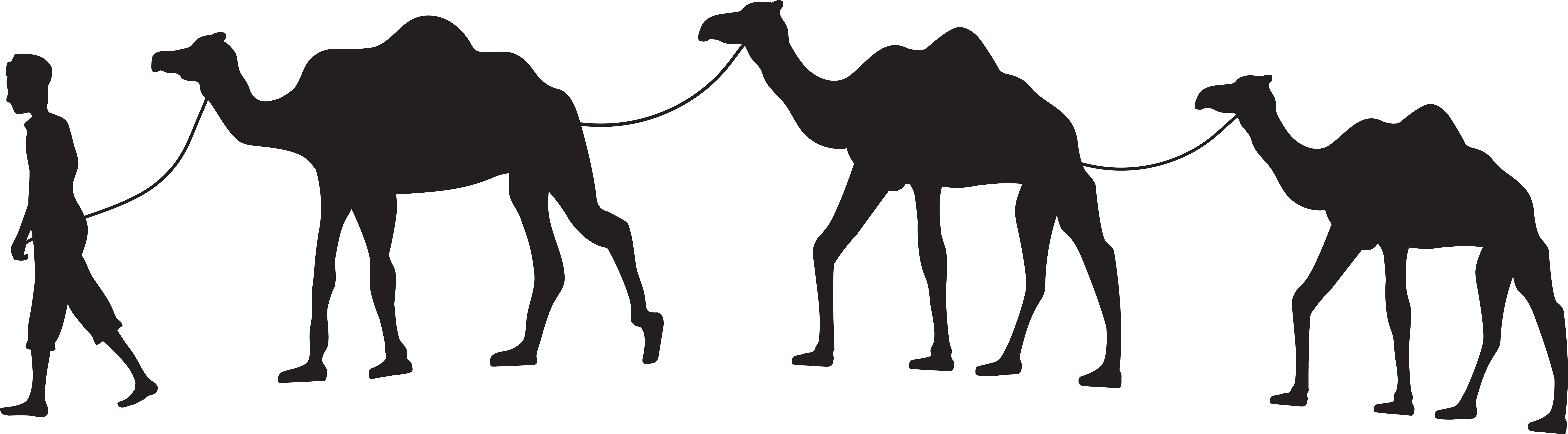 Camels Clipart Silhouette - Camel Clipart (8000x2380), Png Download