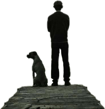 Ftstickers Silhouette Man Dog Standing - Dog (368x383), Png Download