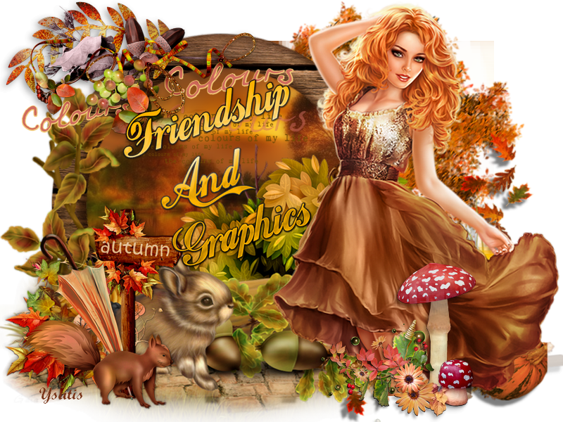 Forum Friendship And Graphics - Illustration (800x600), Png Download