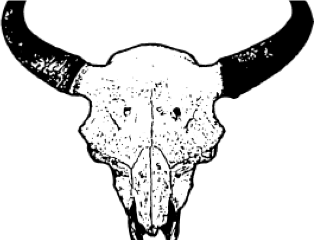 Outline Bull Skull Png (640x480), Png Download