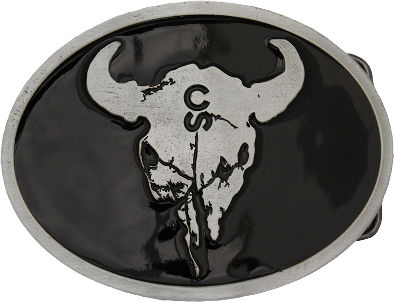 Loading Detail - Texas Longhorn (853x800), Png Download