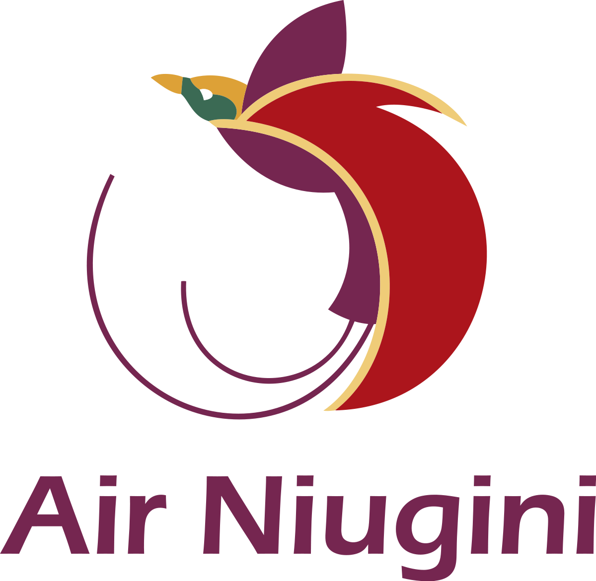 Air Niugini Logo Png (1200x1171), Png Download