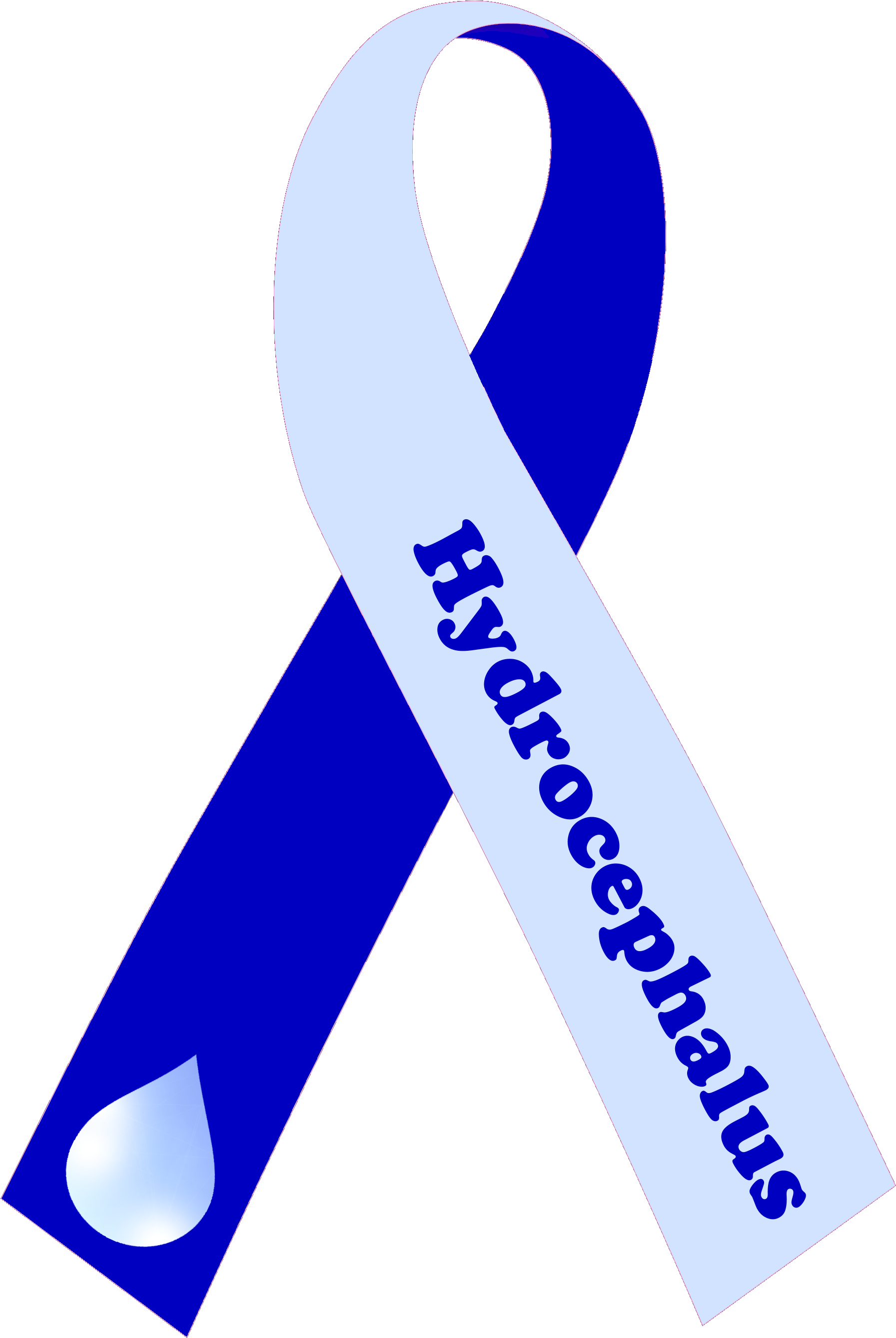 High Quality Folded Two Tone Ribbon Text - Buses Frontera Del Norte (1830x2729), Png Download