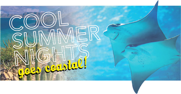 Click To Enlarge Csn2016 Banner - Skate (725x386), Png Download