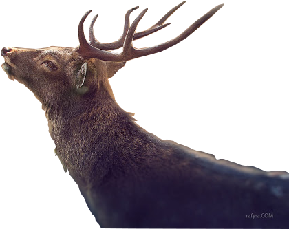 Png For Photo Manipulation (640x421), Png Download