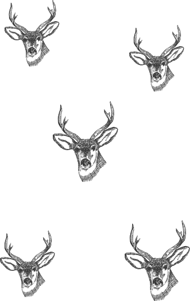 Picture Library Download Deer Heads Small Clip Art - Small Deer Head Drawing (378x598), Png Download