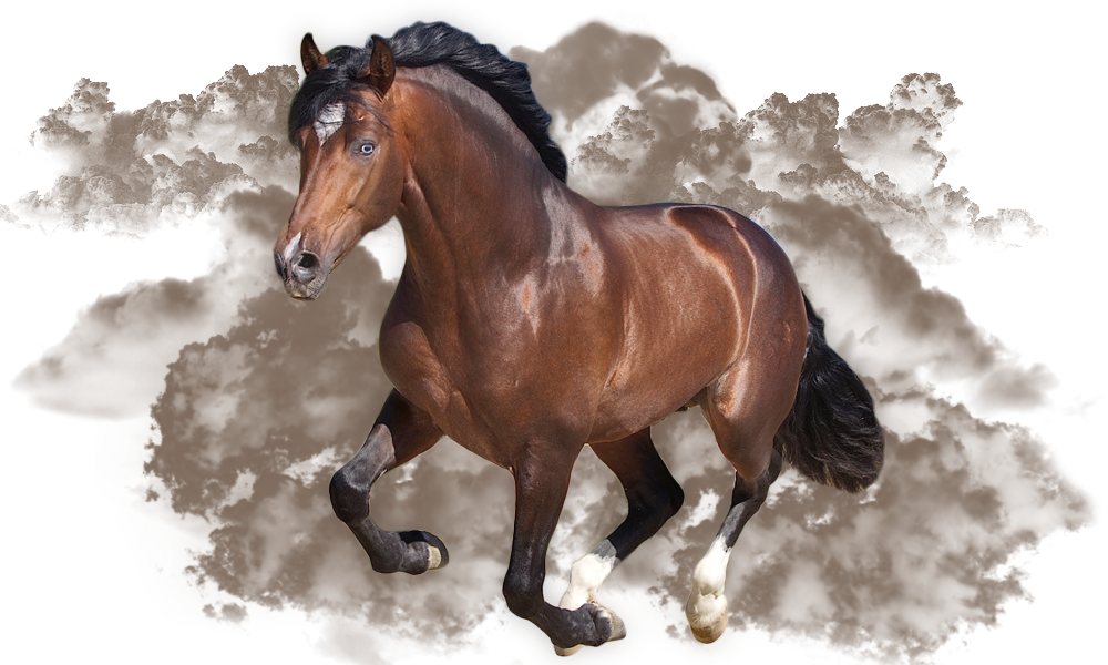 U.s. China Trade: The United States Has Not Restricted (1000x600), Png Download