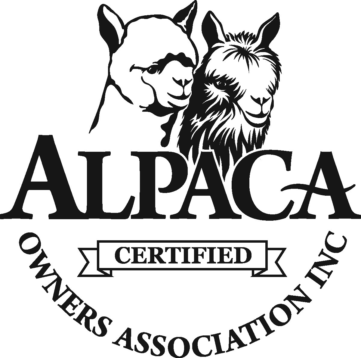 Aoa Certified Ribbon 1200 Px - Jpeg (1200x1189), Png Download