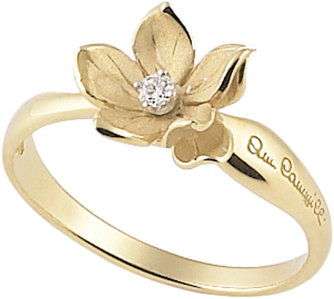 Ring Yellow Sunrise - Oberstaufen (1000x1000), Png Download