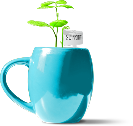Plant In Coffee Cup With A Tag That Reads "support" - Coffee Cup (450x428), Png Download