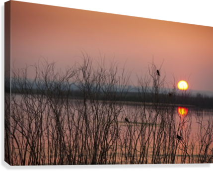 Sun Glowing In A Pink Sky At Sunset And Reflections (429x344), Png Download