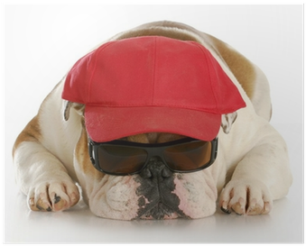 Georgia Bulldogs Football (400x400), Png Download