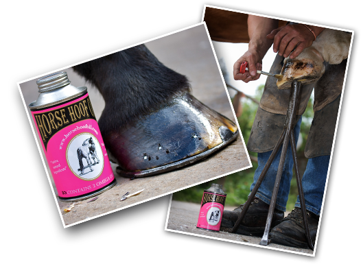 Horse Hoof - Horse (526x385), Png Download