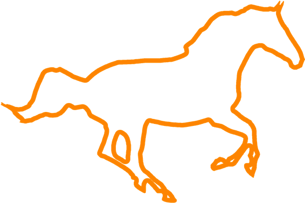 The Horse Care Offering Includes Feeds/visits, Holding - Horse (640x457), Png Download