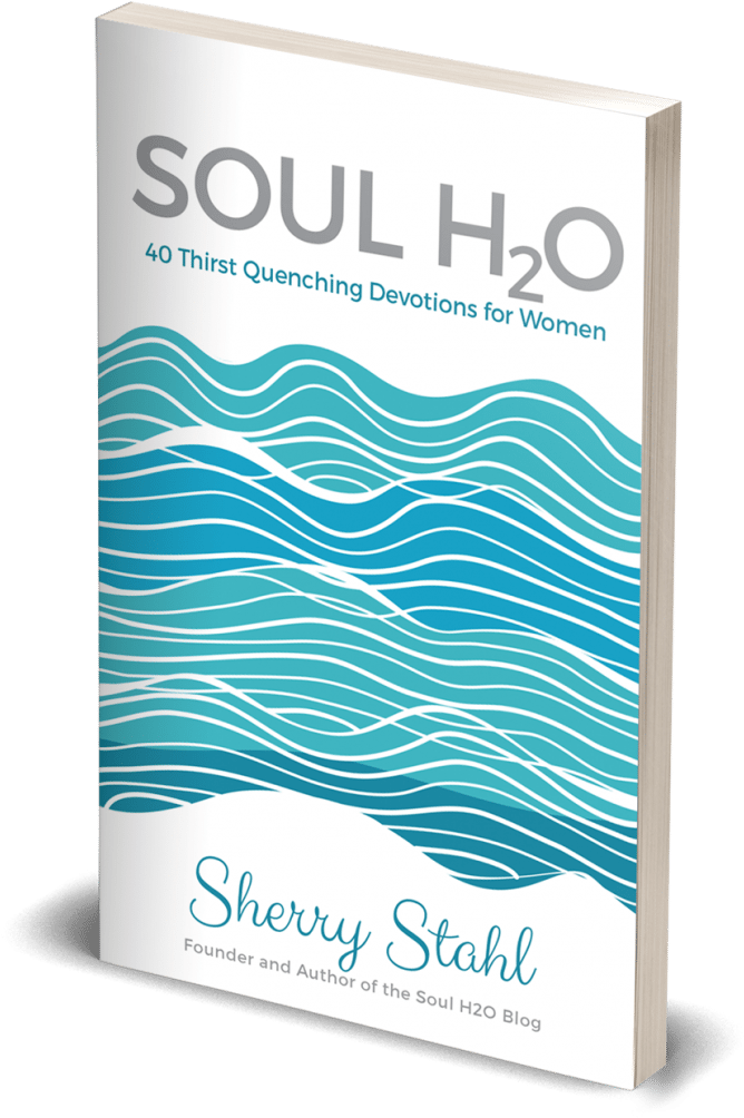 Soul H2o Devo - Mock Up Book Png (1619x1080), Png Download