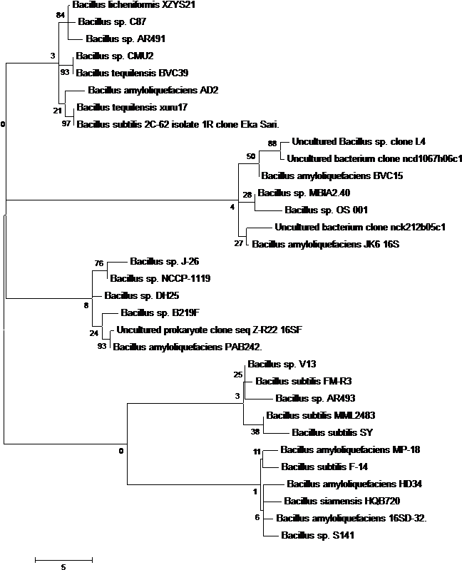 59 Kb - Portable Network Graphics (671x822), Png Download