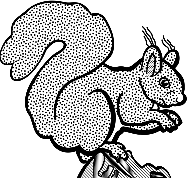 Black And White Squirrel Coloring Book Drawing - Heart Background (750x750), Png Download
