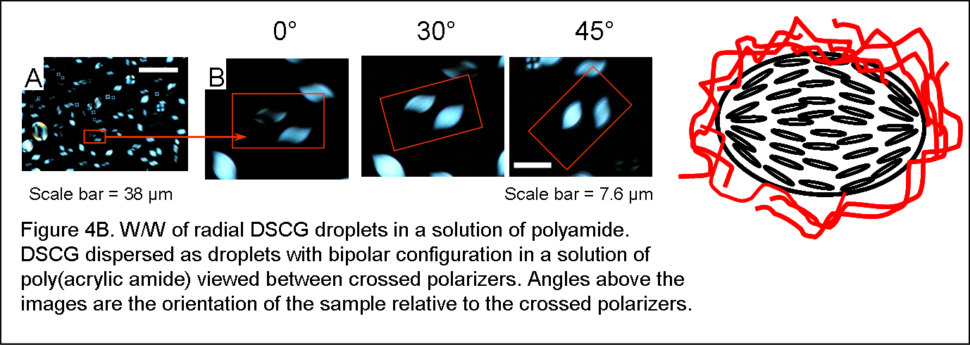 File - Wwf4b - Portable Network Graphics (1377x490), Png Download