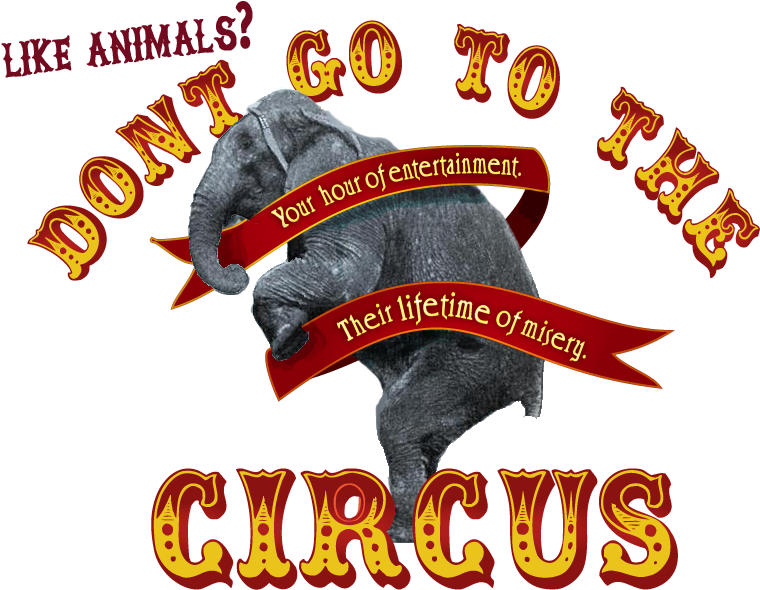 No To Circus - Hurrah For The Circus (827x635), Png Download