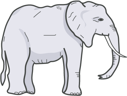 Anna Louise - Indian Elephant (446x329), Png Download