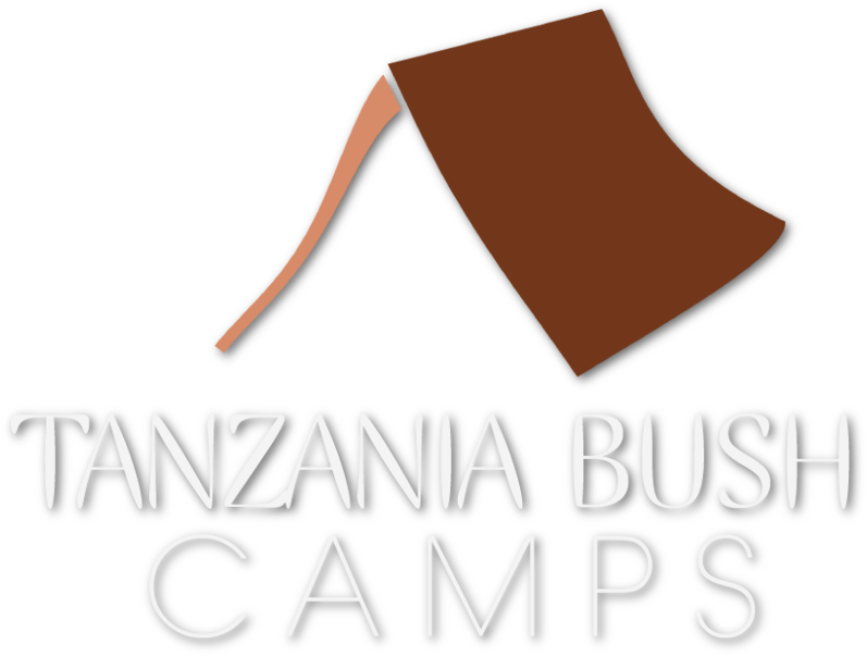 Paper (800x622), Png Download