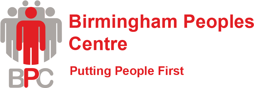 The Birmingham Peoples Centre - Mane Concept Brown Sugar Soft Swiss Lace Front Wig (893x303), Png Download