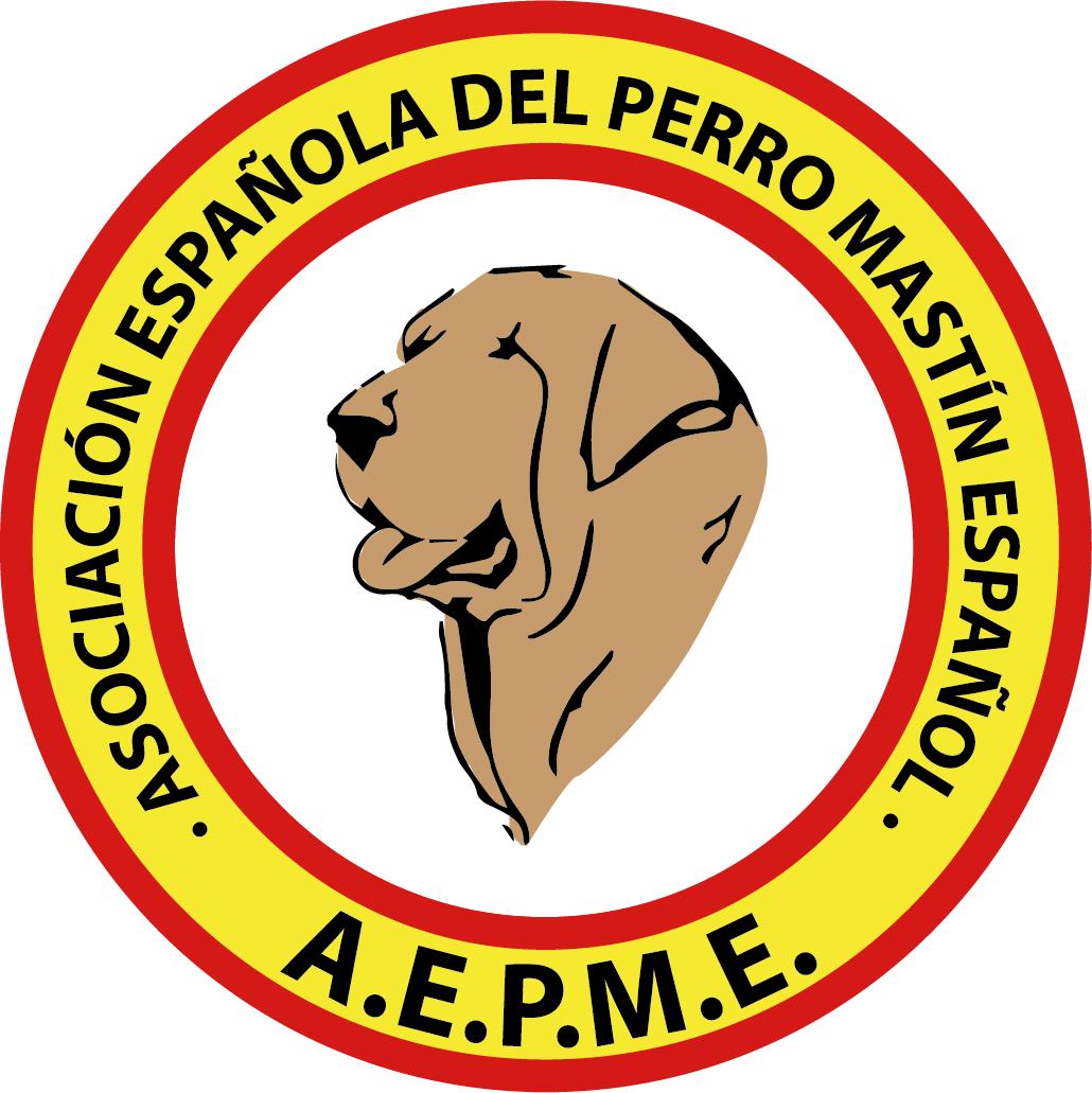 Asociación Española Del Perro Mastín Español - All About Jazz (1030x1031), Png Download