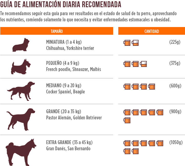 10% De Ahorro - Dog (722x666), Png Download