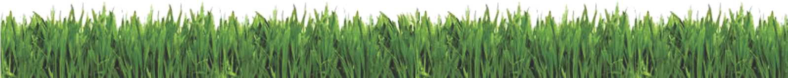 Dibujo Cesped Png - Lawn Care Business Guide [book] (1600x500), Png Download