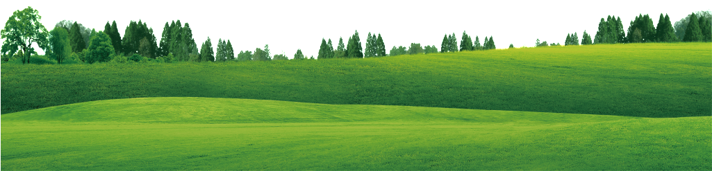 El Hermoso Paisaje De Césped - Lawn (1024x1024), Png Download
