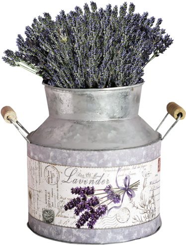 Lavender Fields - Flower (383x500), Png Download