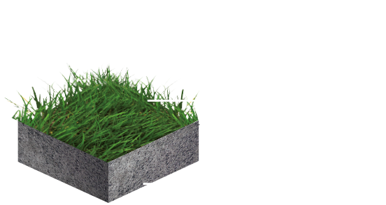 Estándar Fifa - Lawn (600x400), Png Download