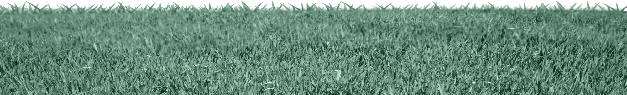 Cesped 02 - Field (2000x1164), Png Download